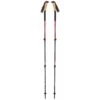 Black Diamond Trail Ergo Cork Trekking Poles